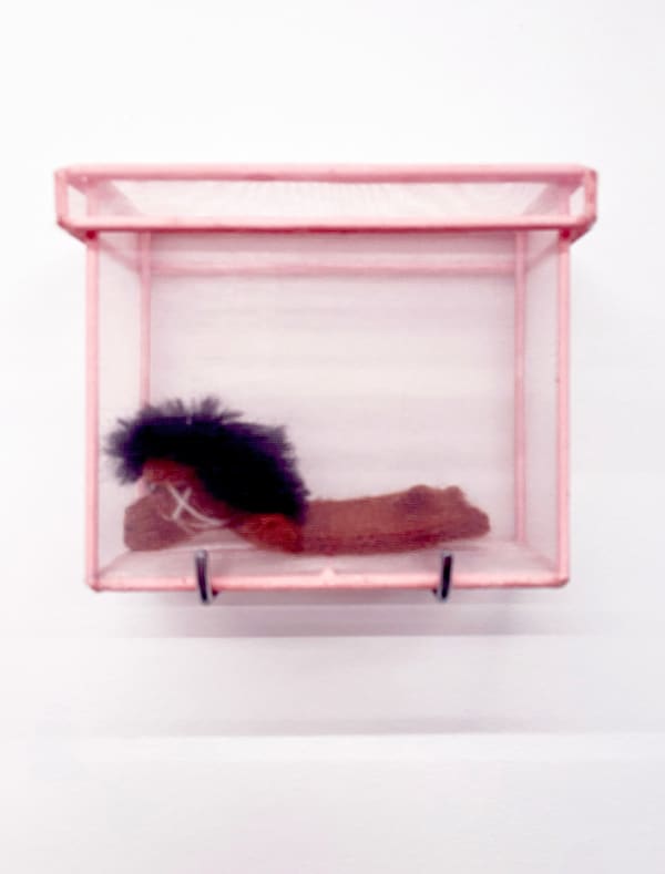 Lou Hubbard, Pink box, 2025
