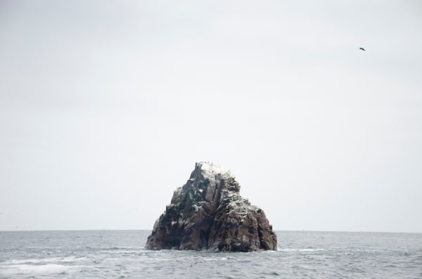 Wan Chantavilasvong, Pisco (Set of 2/4)