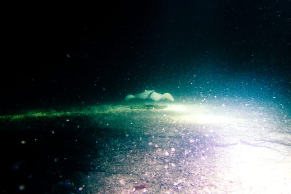 Wan Chantavilasvong, 2023