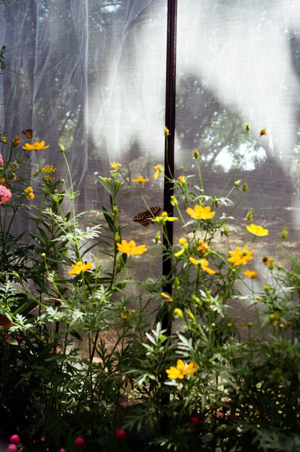 Nattakorn Choonhavan, Freedom in The Cage, 2024