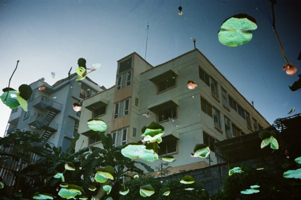 Nattakorn Choonhavan, The Reversed Worlds and The Lotuses, 2024