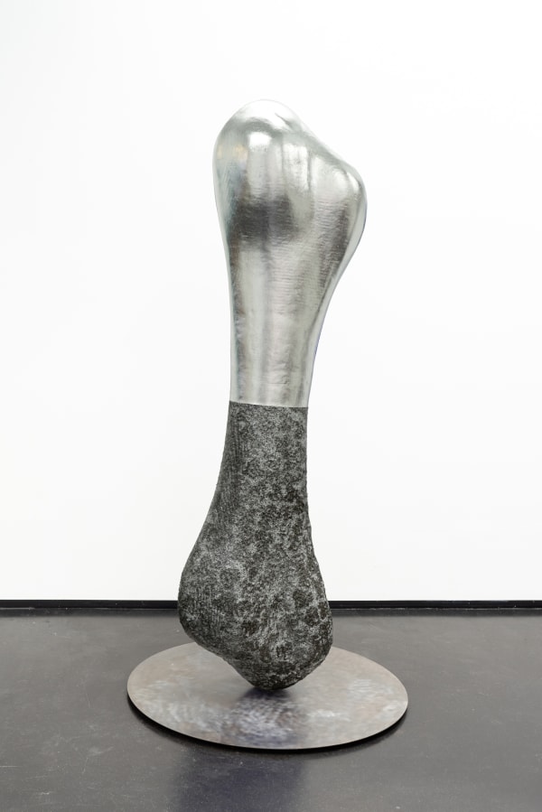 Uriel Caspi, Anatomical Fragments, 2023