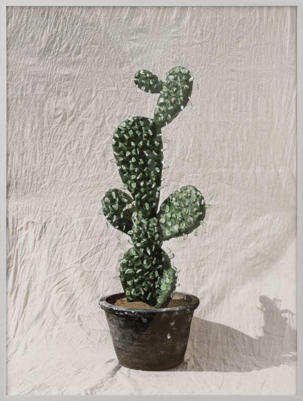 Chen Wei, Send Forth Many Cullets, 2011