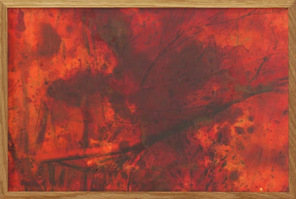 Thu-Van Tran, From Green to Orange, 2020