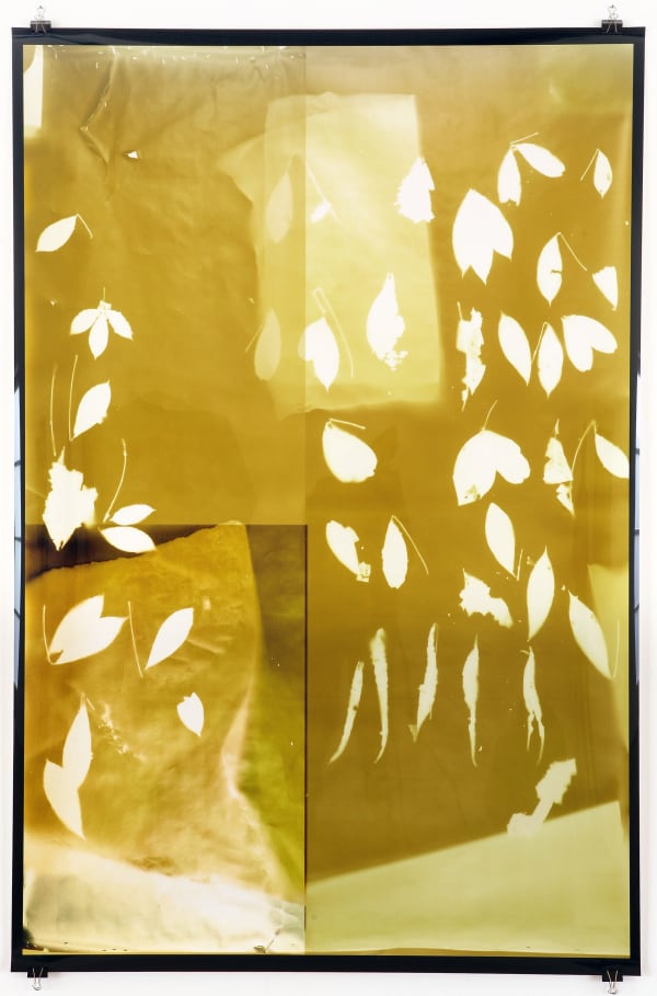 Thu-Van Tran, In the Fall, In the Rise, 2018