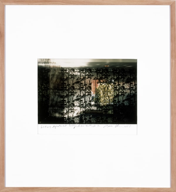 Dan Graham, Luxury Apartment Lobby, New York, 1982