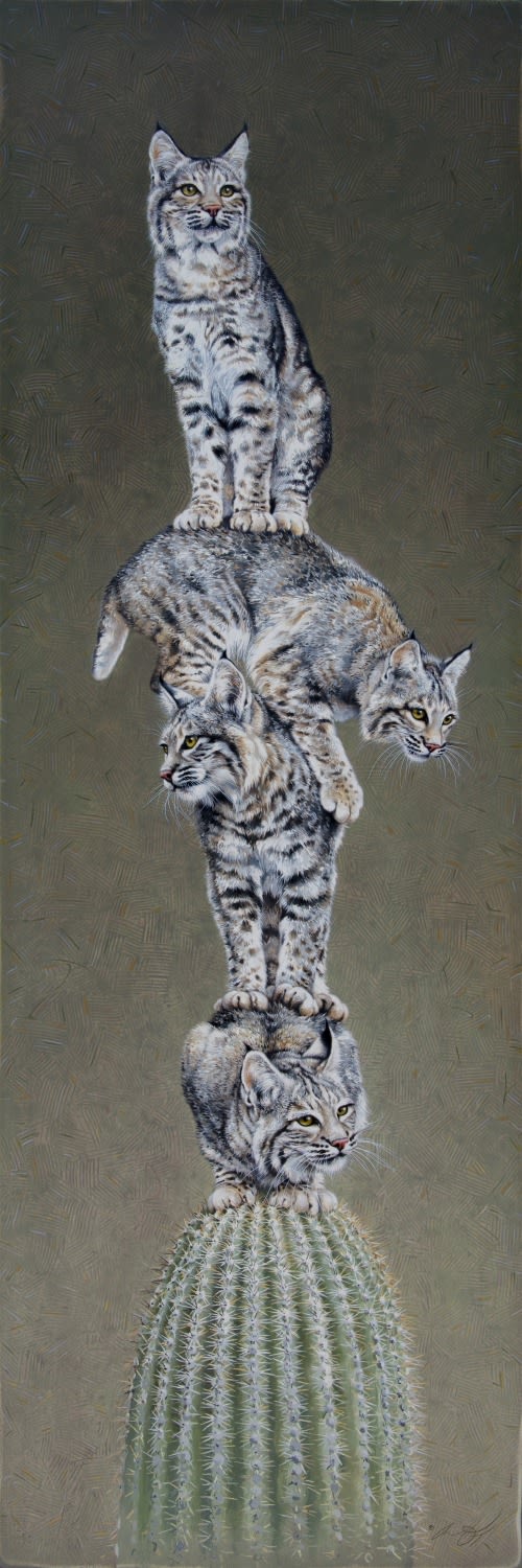 Andrew Denman, Totem 17 Stacked Bobcats