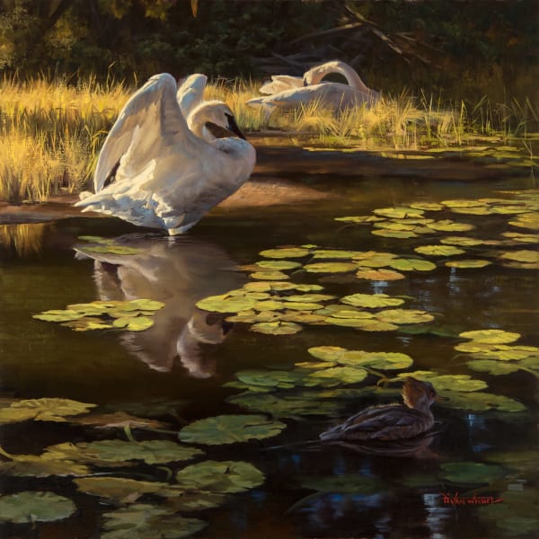Dustin Van Wechel, The Duck Pond