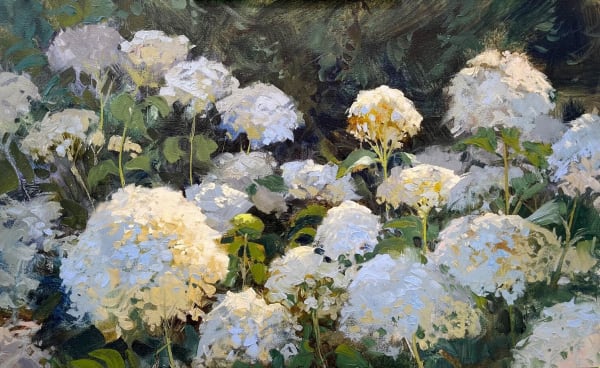 Steve Puttrich, Hydrangeas