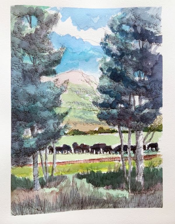 Duane Blossom, Cattle Grazing