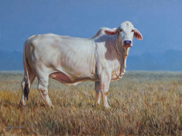 William Suys, Morning Mist