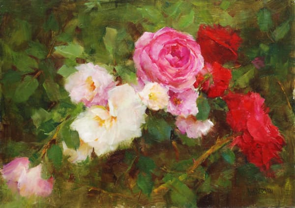 Kathy Anderson, Judy's Roses