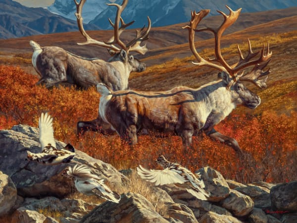 Dustin Van Wechel, Cariboo!