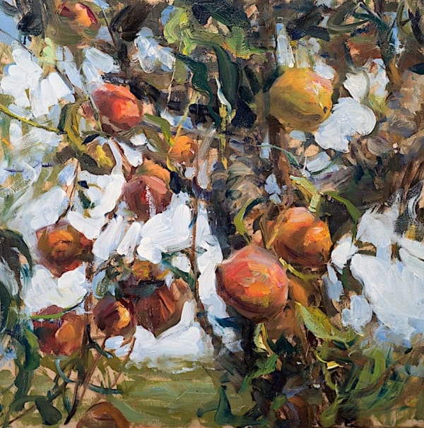 Derek Penix, Apple Tree