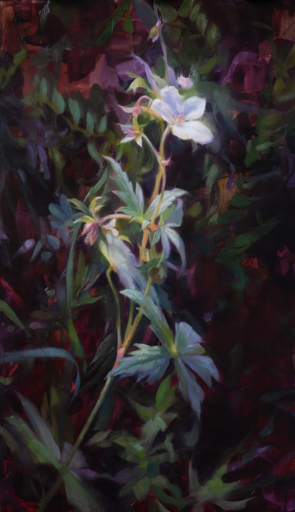 Robin Cole, Like a Memory