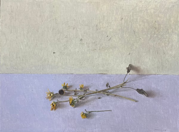 Spencer Simmons, Weeds