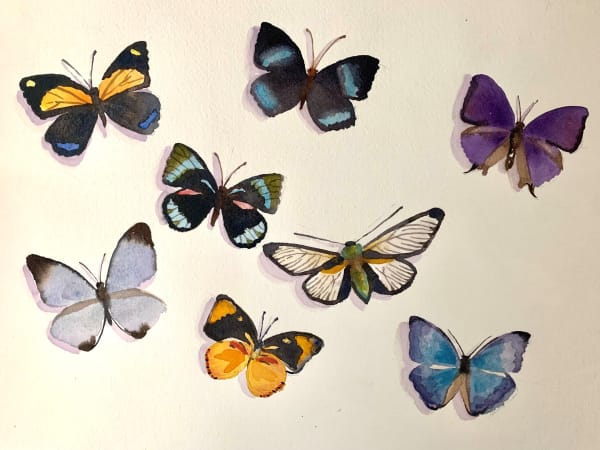 Devon Meyer Youth, Butterflies