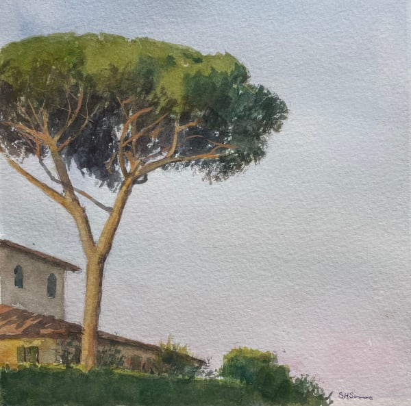 Spencer Simmons, Tree on Hill