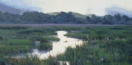 William Hook, Wetlands