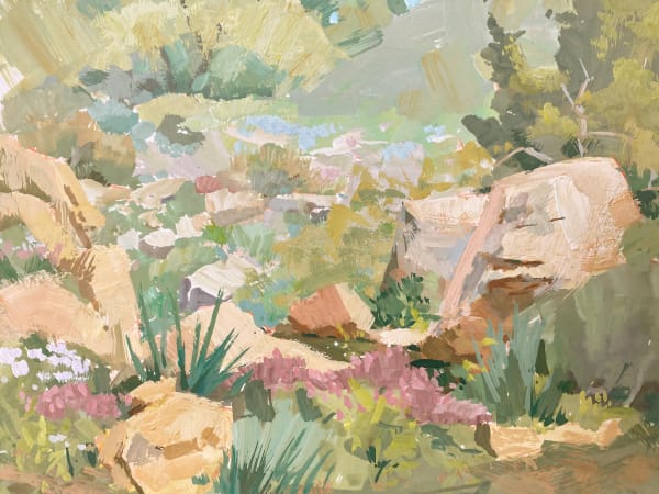 Judd Mercer, Sundrenched Rocks