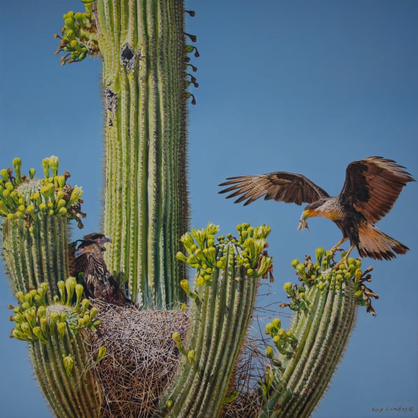 Guy Combes, Superbloom