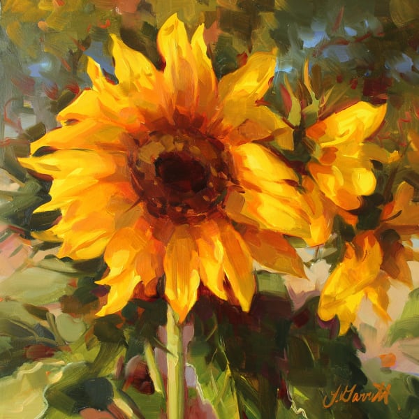 Jessica Garrett Lawrence, Sunflowers