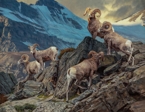 Dustin Van Wechel, A Pika's Paradise