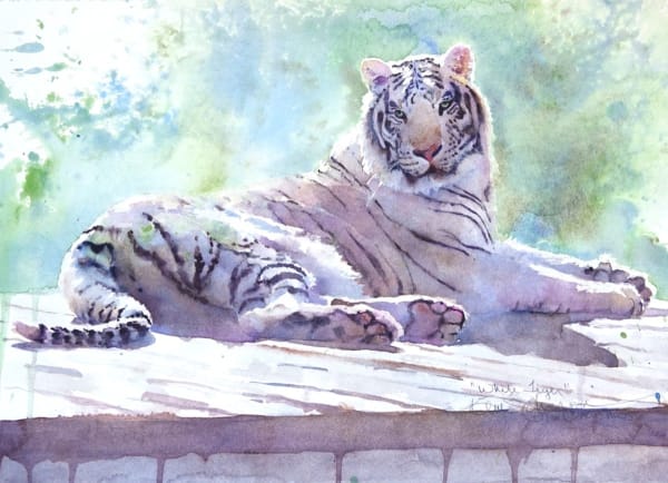 Kim Johnson Nechtman, White Tiger