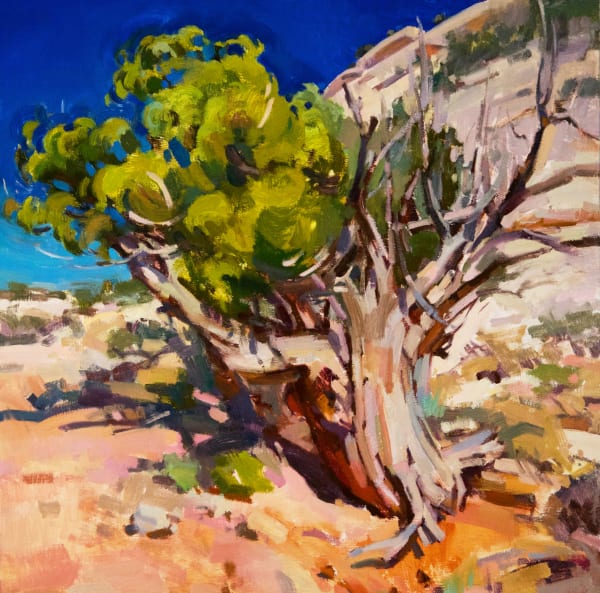 Jill Carver, Cliff Dweller