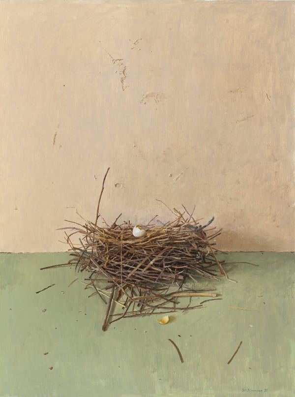 Spencer Simmons, Nest