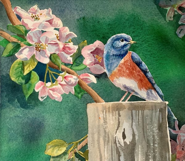 Devon Meyer Youth, Bird on Branch