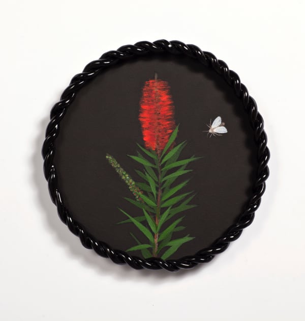 Angela Valamanesh Birds and bees 18, (Bottlebrush with Moth), 2024 acrylic on canvas on plywood board with ceramic frame Ø 32 x 4 cm