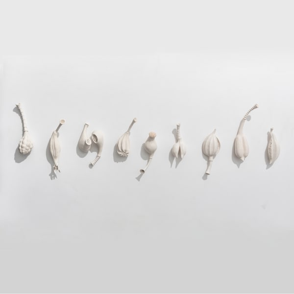 Sarah Rayner, Contemplating the wonder of ordinary things, 2020