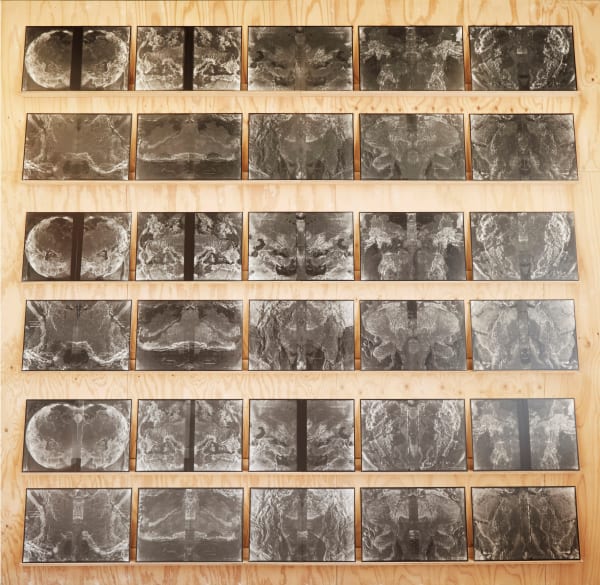 Izabela Pluta, Spatial misalignments from the Abstruse terms and general uncertainties series, 2018