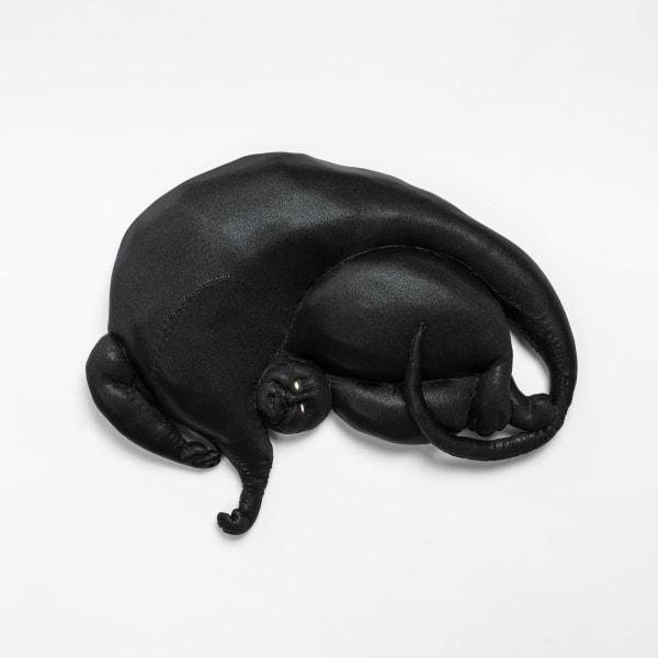 Tarryn Gill, Little Shadow, 2020
