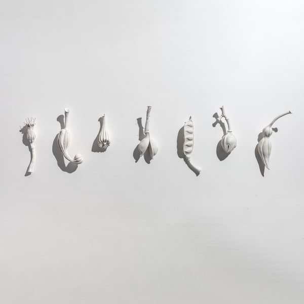 Sarah Rayner Distance of a Whisper … Group K, 2023 hand carved porcelain and entomology pins 36 x 130 x 8.5 cm