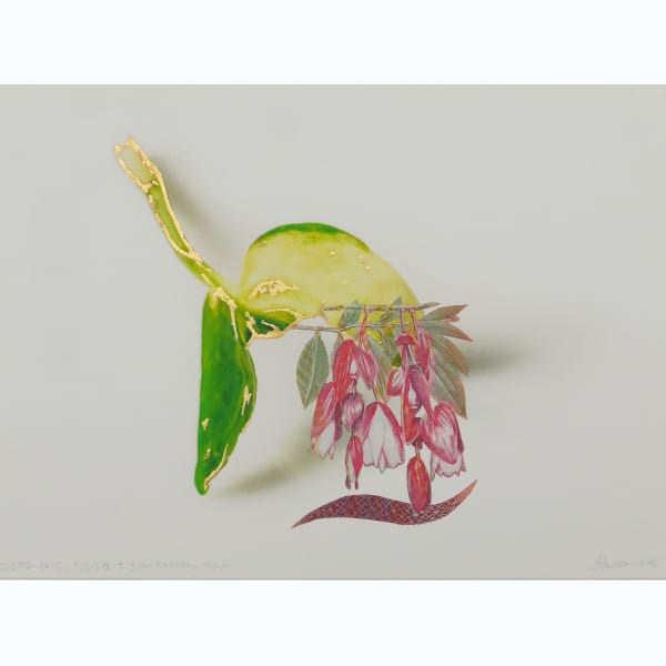 Abdullah M. I. Syed, Tagimoucia (Medinilla Waterhousei) Flower (Fijian 50 Dollar Observe), 2025