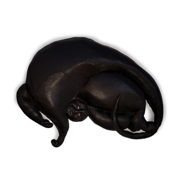 Tarryn Gill, Little Shadow, 2020