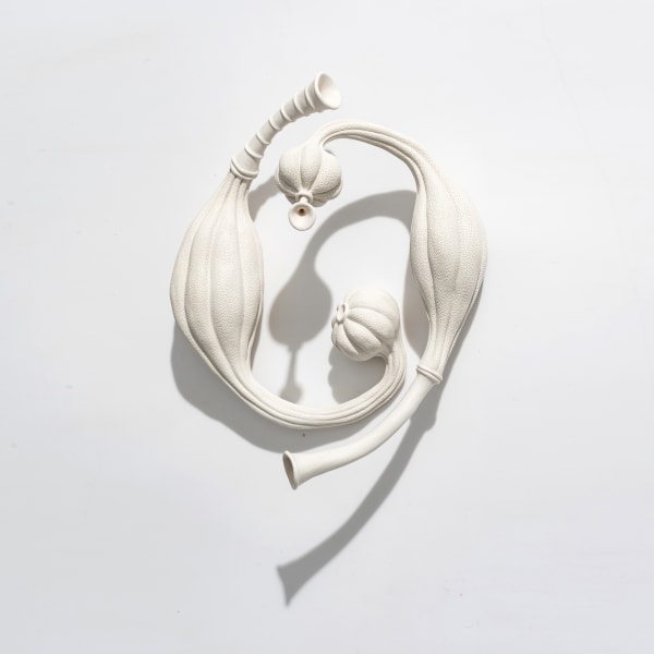 Sarah Rayner, Entwined, 2020