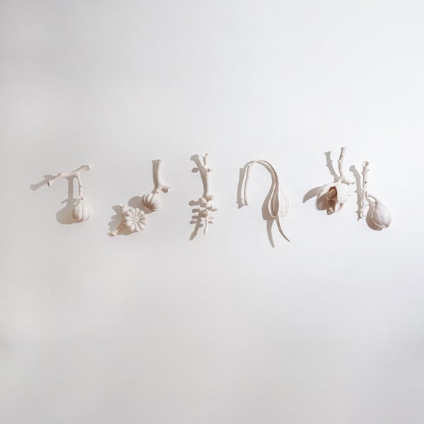 Sarah Rayner, Understories....2, 2024