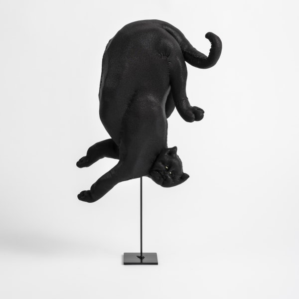 Tarryn Gill, Shadow 2, 2021