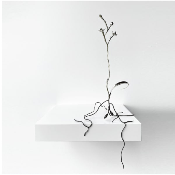 Sophie Carnell, silent sentinel IV (Thelymitra carnea - tiny sun orchid), 2020