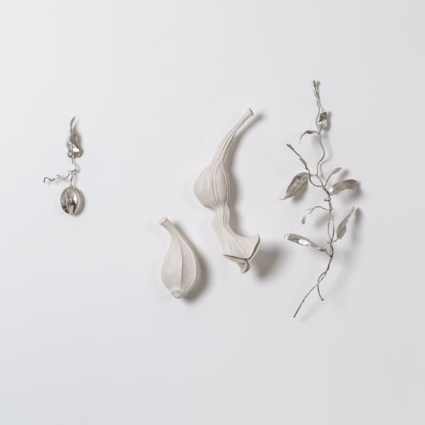 Sarah Rayner & Sophie Carnell, Pararistolochia praevenosa/Richmond Birdwing Vine, 2021