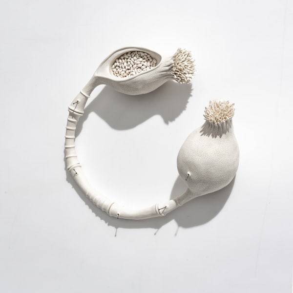 Sarah Rayner, The distance of a whisper, 2020