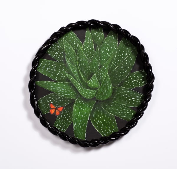 Angela Valamanesh, Birds and bees 12, (Spotted Aloe with Butterfly), 2024