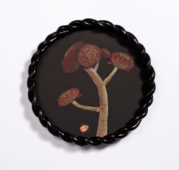 Angela Valamanesh Birds and bees 5, (Black Rose Aeonium with Christmas Beetle), 2024 acrylic on canvas on plywood board with ceramic frame Ø 31 x 4 cm