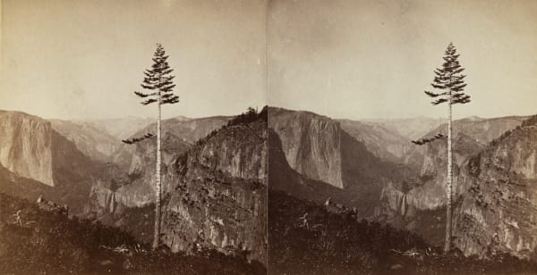 Charles L. Weed, Yosemite Valley from the Mariposa Trail, 1864