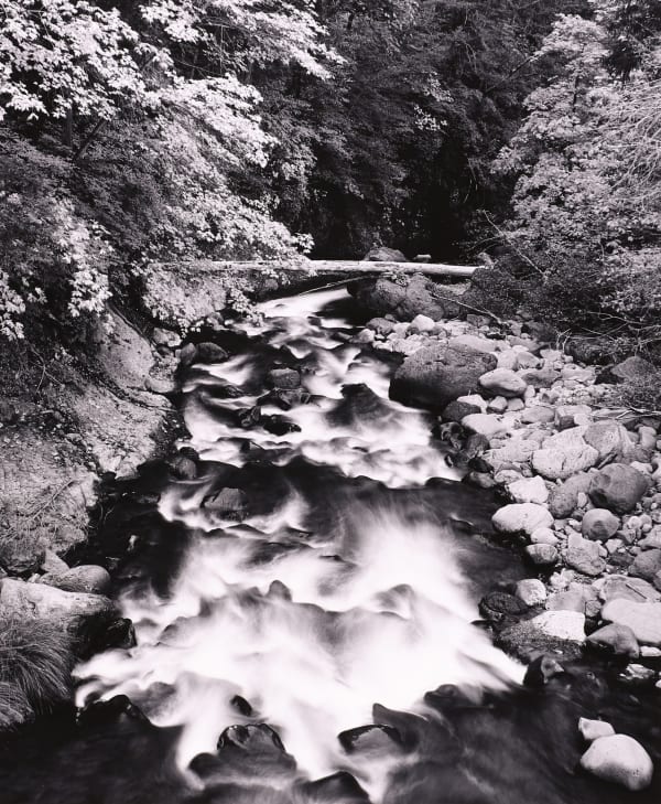 Henry Gilpin, Deer Creek, 1989