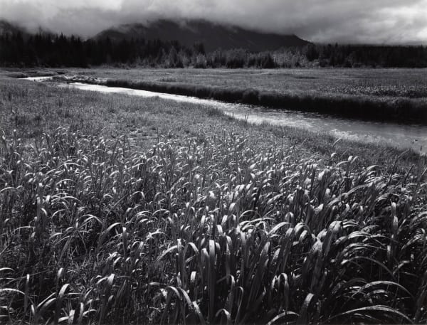 Ansel Adams, Rain, Beartrack Cove, Glacier Bay National Monument, Alaska, 1949