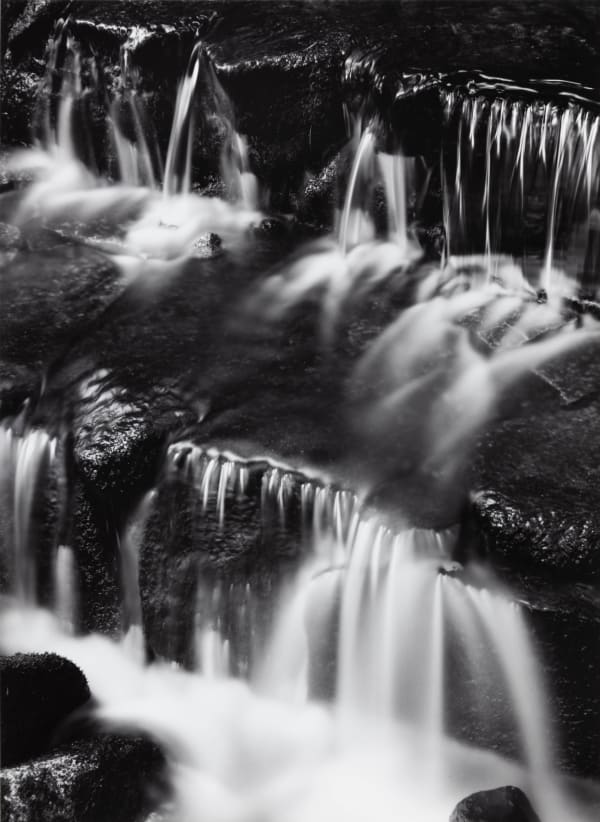 Ansel Adams, Fern Spring, Yosemite, 1961